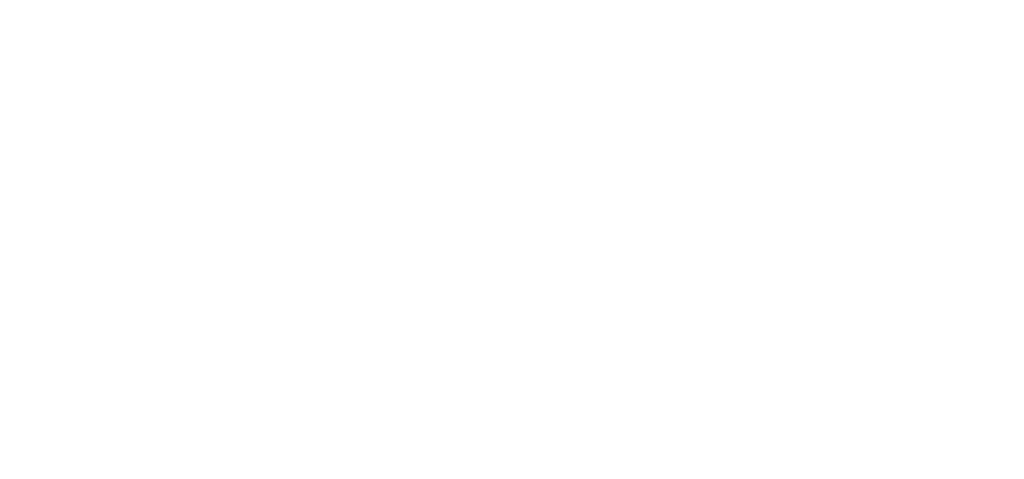 Nurses 2 Nannies logo